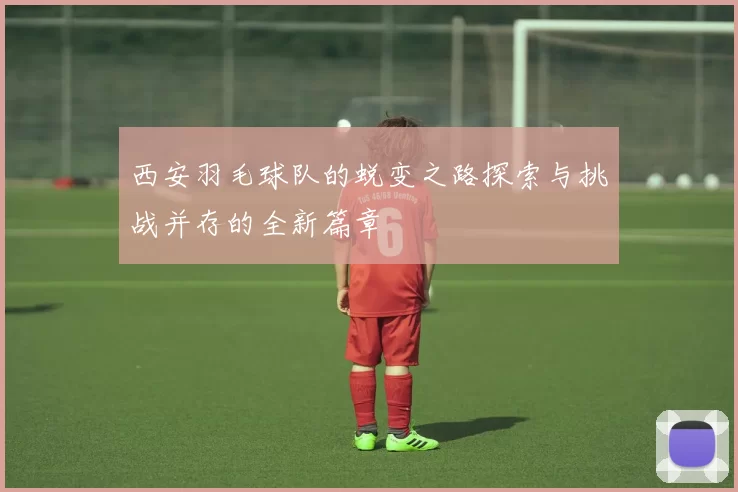 西安羽毛球队的蜕变之路探索与挑战并存的全新篇章