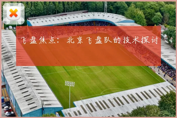 飞盘焦点：北京飞盘队的技术探讨